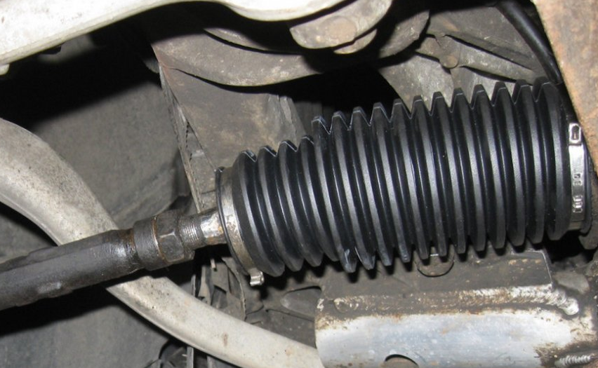 Как устроены пыльники и что влияет на их прочность