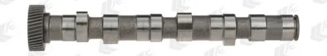 Распределительный вал AE CAM702