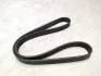 Ремінь ГРМ FIAT Barchetta 95-05; PEUGEOT 206 98-12; NISSAN Primera P12 02-08, Primera P11 96-02; ALFA ROMEO 156 97-07, GT 03-10, 147 00-10 AE MVB1025R6 (фото 1)
