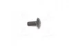 Болт с фигурной головкой М10х25 JD (03M7191JD, 03M7307JD) (Agri Parts) Agri-parts 18AP003263 (фото 1)