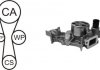 Водяний насос + комплект зубчастого ременя AIRTEX WPK-181801 (фото 1)