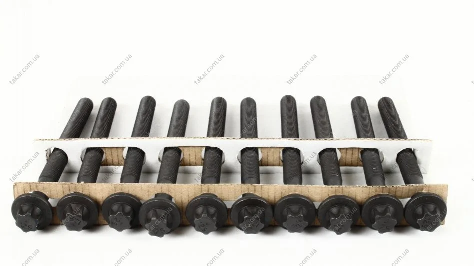 Комплект болтов с головкой системы TORX из черного металла AJUSA 81031800 (фото 1)