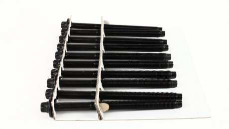 Комплект болтів з головкою системи TORX з чорного металу AJUSA 81034200