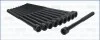 Комплект болтов с головкой системы TORX из черного металла AJUSA 81045600 (фото 1)