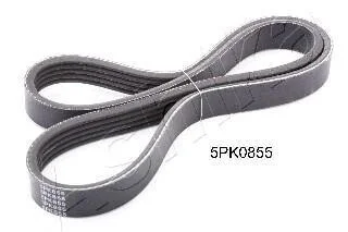Полікліновий ремінь 5 ребер ASHIKA 112-5PK855