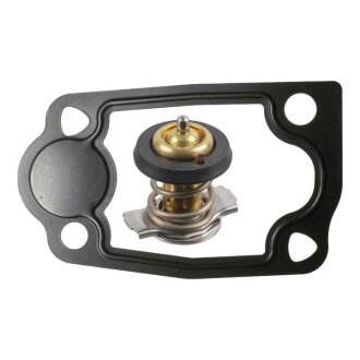 Термостат ASHIKA 38-00-0621