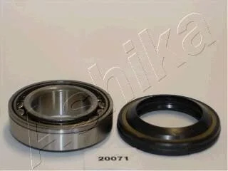 Подшипник роликовый цилиндрический ASHIKA 44-20071