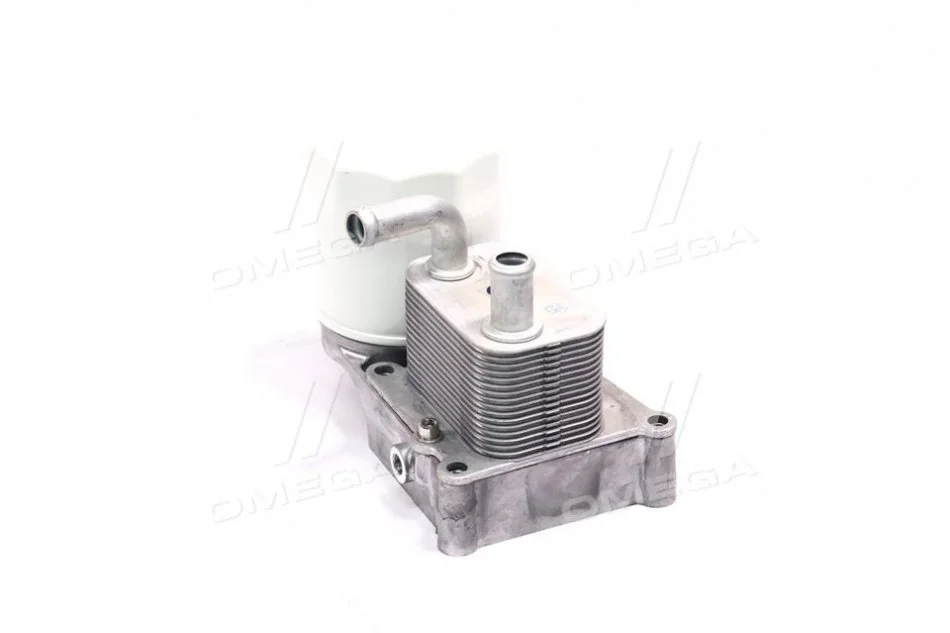 Радіатор масляний FORD TRANSIT CONNECT (TC7) (02-) 1.8 TDCi (у зборі) (вир-во AVA) AVA COOLING FD3686H (фото 1)