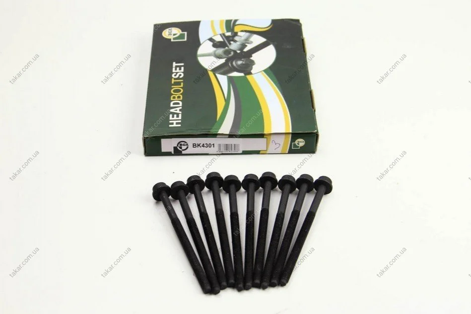 Комплект болтов с головкой системы TORX из черного металла BGA BK4301 (фото 1)
