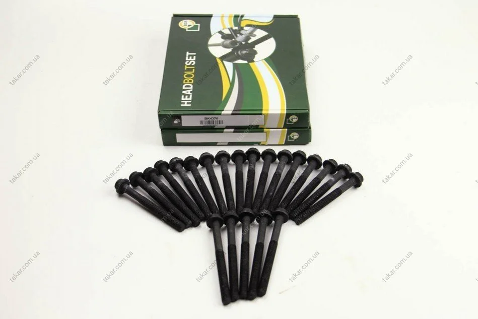 Комплект болтов с головкой системы TORX из черного металла BGA BK4376 (фото 1)