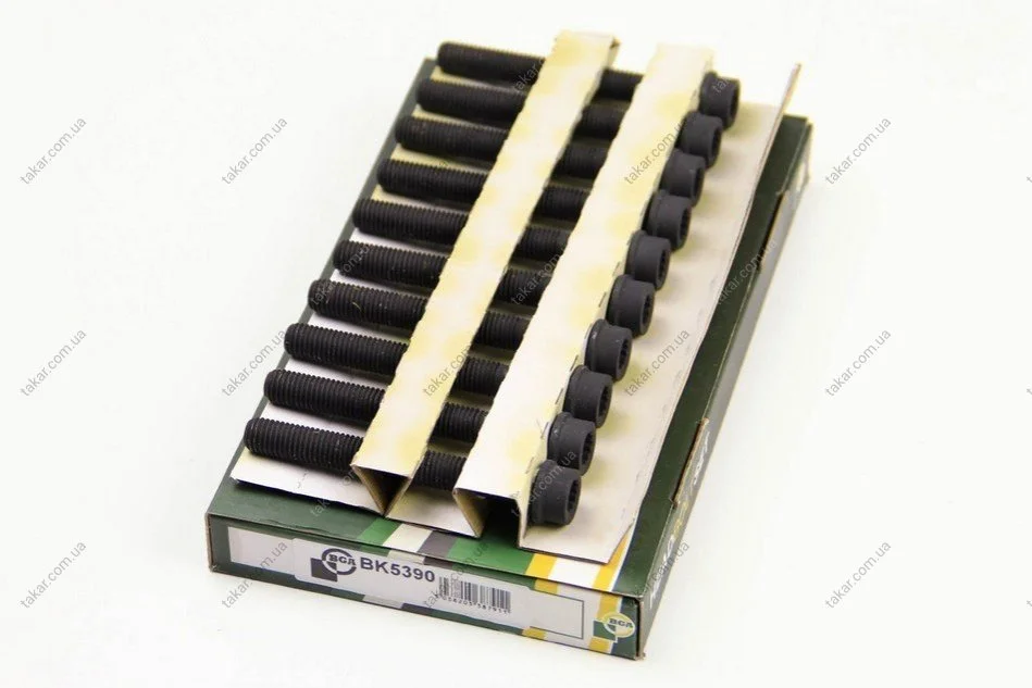Комплект болтов с головкой системы TORX из черного металла BGA BK5390 (фото 1)