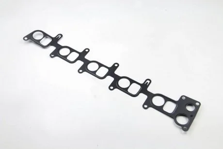 Прокладання впускного колектора BGA MG1519