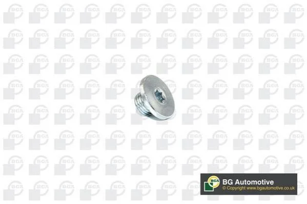 Пробка поддона автомобиля BGA PK2200 (фото 1)