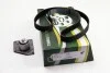 Роликовый модуль натяжителя ремня (ролик, ремень) BGA TB6300K (фото 2)