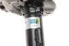 Амортизатор подвески газомасляный двухтрубный на передний мост слева BILSTEIN 22-245694 (фото 7)