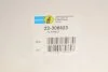Амортизатор BILSTEIN 22-306623 (фото 2)