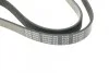Поликлиновый ремень 6 ребер BLUE PRINT AD06R1200 (фото 3)