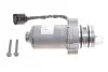 Комплект масляної помпи муфти диференціалу BORGWARNER BorgWarner DS2002774 (фото 1)