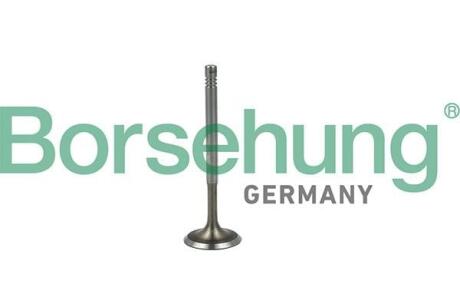 Впускний клапан Borsehung B19019