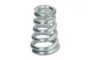 Пружина (вир-во Bosal) BOSAL 251-860 (фото 1)