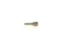 Розпилювач Bosch 2.0CDTI 16V Opel Antara 06-15, Chevrolet Captiva 06-11, Chevrolet Cruze 09-17 BOSCH 0433171980 (фото 1)