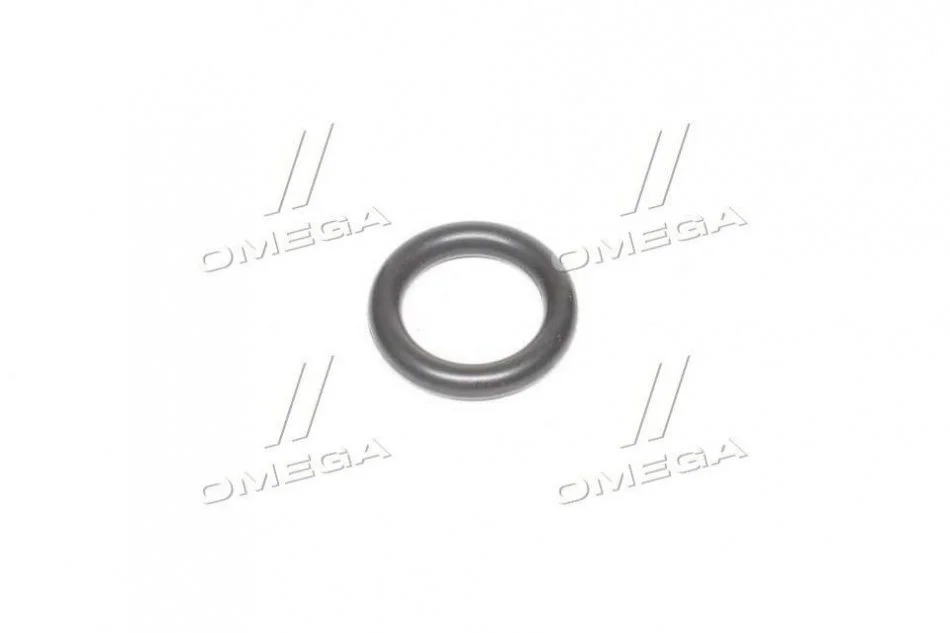 Уплотнительное кольцо BOSCH 1 280 210 810 (фото 1)