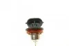 Лампа 12V 35W H8 ECO - кратн. 10 шт BOSCH 1 987 302 805 (фото 2)