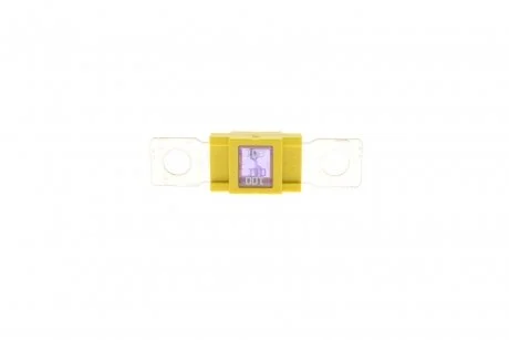 Запобіжник 100A кратн. 10 шт. BOSCH 1987531000