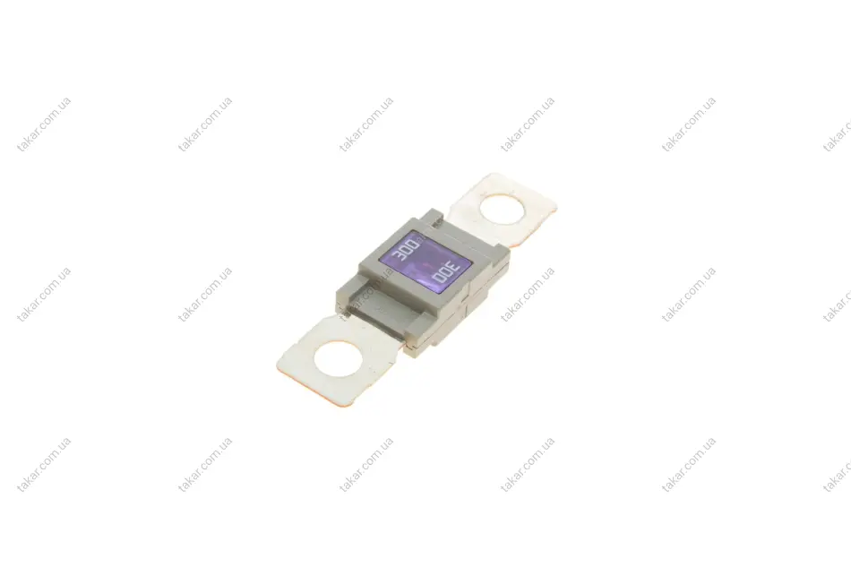 Предохранитель 300A кратн. 10 шт. BOSCH 1987531007 (фото 1)