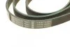 Поликлиновый ремень BOSCH 1 987 946 016 (фото 4)