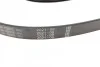 Поликлиновый ремень BOSCH 1 987 946 082 (фото 3)