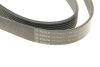 Полікліновий ремінь 7 ребер BOSCH 1 987 946 251 (фото 6)