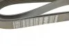 Поликлиновый ремень 8 ребер BOSCH 1 987 947 062 (фото 5)