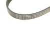 Поликлиновый ремень 6 ребер BOSCH 1 987 947 566 (фото 5)