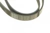 Полікліновий ремінь BOSCH 1 987 947 887 (фото 3)