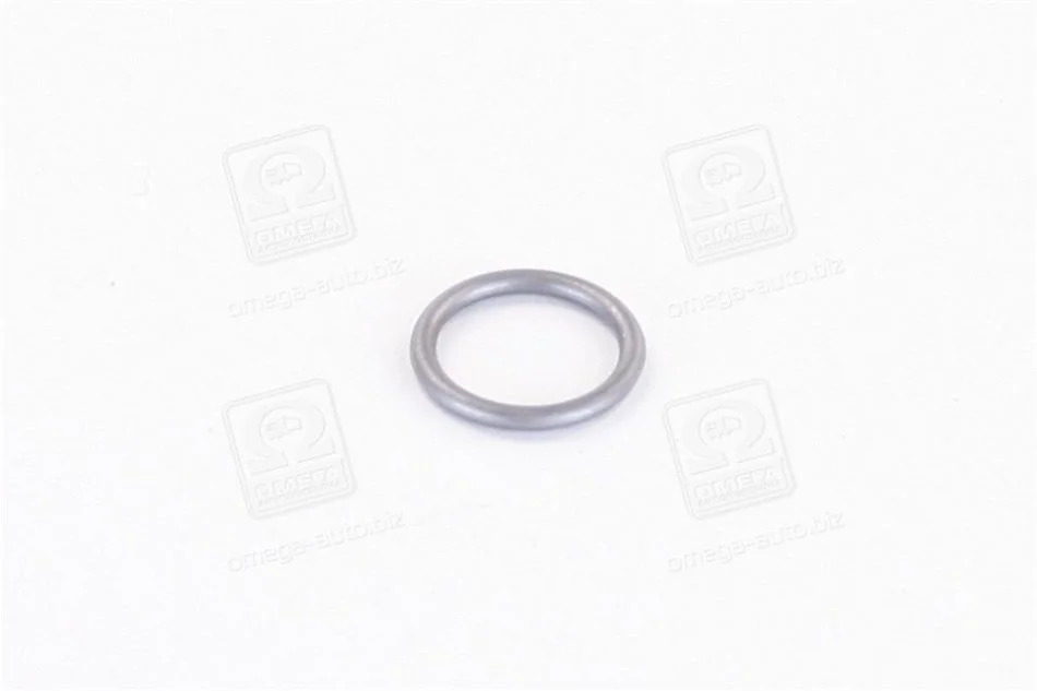 Уплотнительное кольцо BOSCH 3 430 210 603 (фото 1)