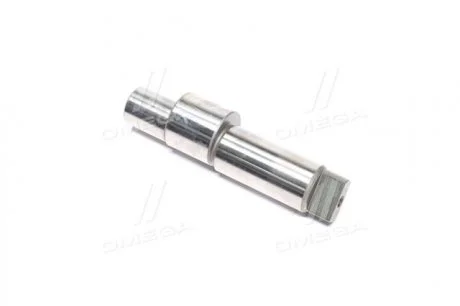 Ексцентриковий вал (вир-во Bosch) BOSCH F 01M 100 285