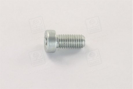 Гвинт з цил.головкою торкс ПНВТ CP BOSCH F 01M 100 684