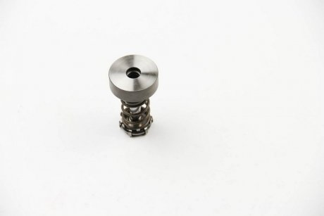 Плунжерна пара BOSCH F 01M 101 349