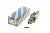 ЦИЛИНДР ТОЛЬКОВОЙ ГЛАВНЫЙ BOSCH F 026 003 188 (фото 1)
