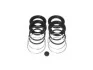Ремкомплект тормозного суппорта TOYOTA Land Cruiser Prado 120 03-09, Hilux 15-, Hilux 05-16, Land Cruiser Prado 90 96-02, Hilux 88-97, 4Runner 96-02; MITSUBISHI Pajero 07-21; LEXUS GX 02-09 BUDWEG CALIPER 204534 (фото 1)