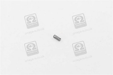 Пружина CARGO 134219