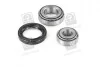 Подшипник ступицы колеса Задняя ось, двухсторонняя сторона COMPLEX AUTOMOTIVE BEARINGS Sp.z.o.o. CX005 (фото 1)