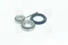 Подшипник ступицы колеса COMPLEX AUTOMOTIVE BEARINGS Sp.z.o.o. Задняя ось, двухсторонняя сторона COMPLEX AUTOMOTIVE BEARINGS Sp.z.o.o. CX008 (фото 1)