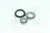 Подшипник ступицы колеса Задняя ось, двухсторонняя сторона COMPLEX AUTOMOTIVE BEARINGS Sp.z.o.o. CX010 (фото 1)