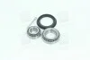 Подшипник ступицы колеса Задняя ось, двухсторонняя сторона COMPLEX AUTOMOTIVE BEARINGS Sp.z.o.o. CX010 (фото 2)