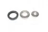 Підшипник маточини колеса Передня вісь, двостороння сторона COMPLEX AUTOMOTIVE BEARINGS Sp.z.o.o. CX018 (фото 1)