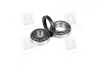 Подшипник ступицы колеса Задняя ось, двухсторонняя сторона COMPLEX AUTOMOTIVE BEARINGS Sp.z.o.o. CX020 (фото 2)