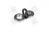 Подшипник ступицы колеса Задняя ось, двухсторонняя сторона COMPLEX AUTOMOTIVE BEARINGS Sp.z.o.o. CX020 (фото 4)