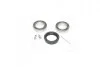 Подшипник ступицы колеса Передняя ось, двухсторонняя сторона COMPLEX AUTOMOTIVE BEARINGS Sp.z.o.o. CX110 (фото 1)